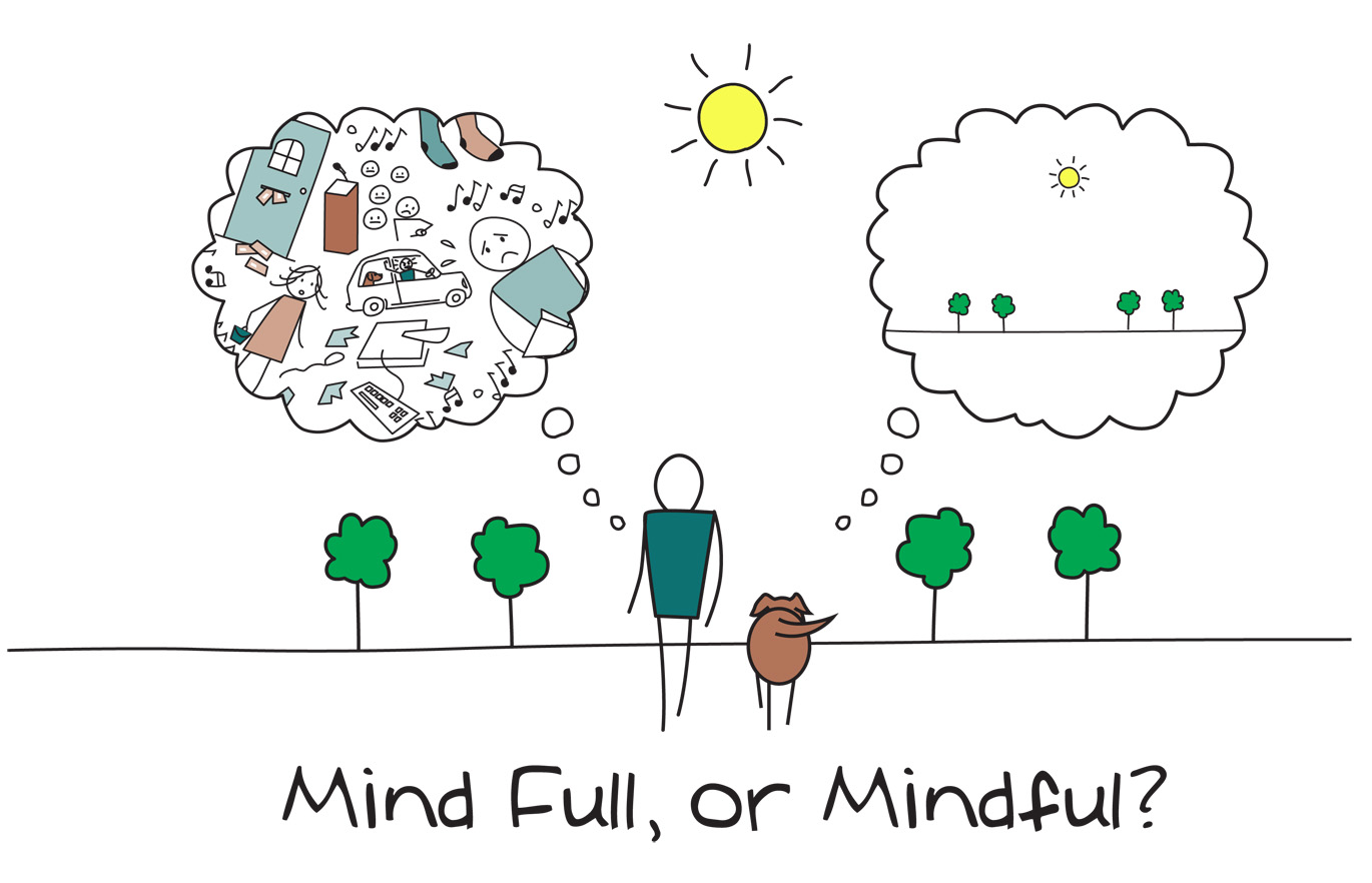 Image result for mindfull or mindful